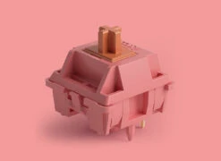 Akko - Rosewood Switch -Computer Peripherals Akko Rosewood Switch XQ 1