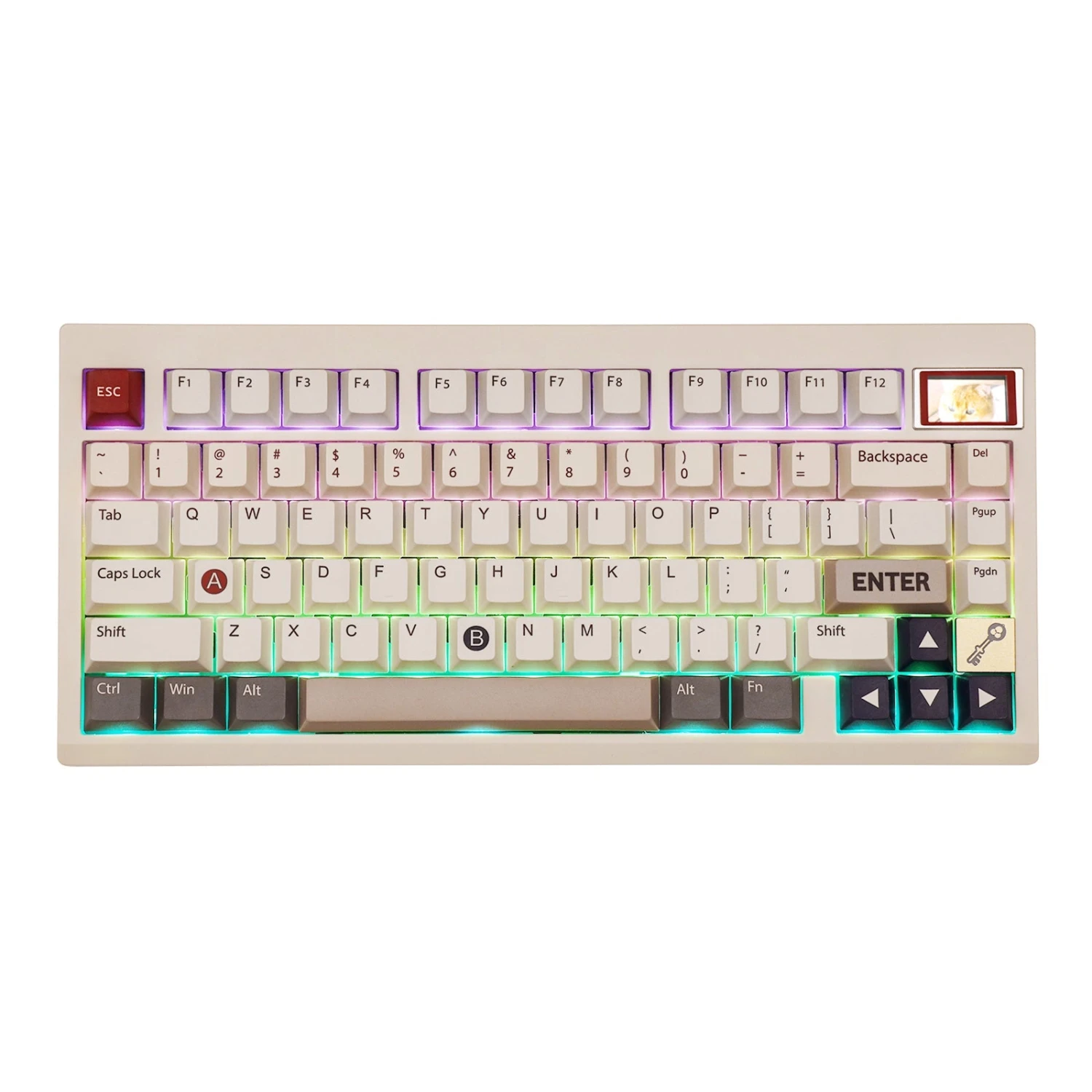 Epomaker - TH80 Pro V2 VIA 75% Programmable Gasket-mounted Wired & Wireless Gaming Keyboard 2 Epomaker - TH80 Pro V2 VIA 75% Programmable Gasket-mounted Wired & Wireless Gaming Keyboard - Image 2