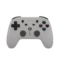 Retro Fighters - PS Defender Wireless Controller