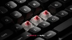 Cherry X NuPhy - Silent Red Clear-Top Switches -Computer Peripherals pobrane 290473ef 12ff 44e6 a1d1 c3cc299c0b95